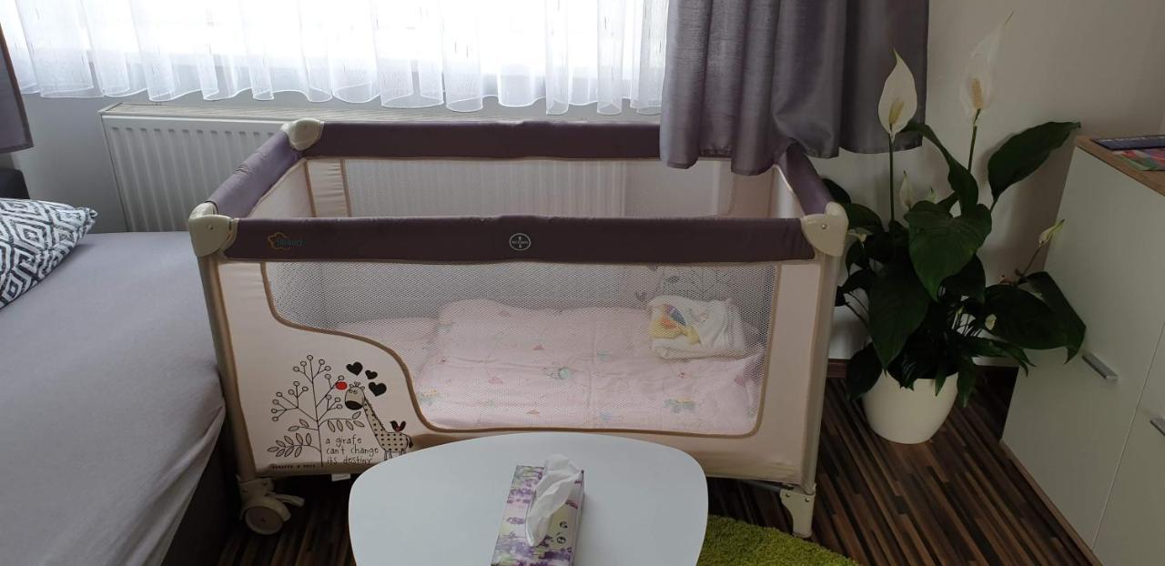 Laura'S Apartment كارلوفي فاري المظهر الخارجي الصورة